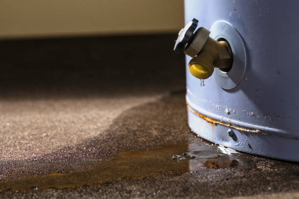 Best Ceiling water damage repair  in Eastwood, MI