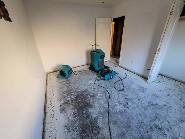 Best Sewage cleanup and water damage restoration  in Eastwood, MI