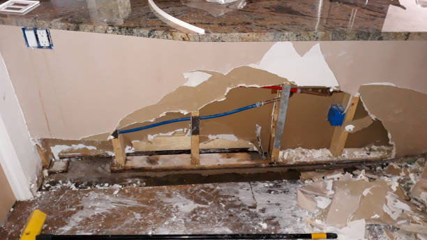 Best Emergency water damage restoration  in Eastwood, MI