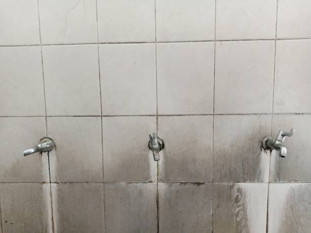 Best Water damage restoration near me  in Eastwood, MI