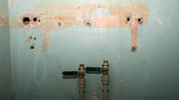 Best Local water damage restoration  in Eastwood, MI