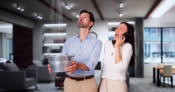 Best Water damage restoration process  in Eastwood, MI